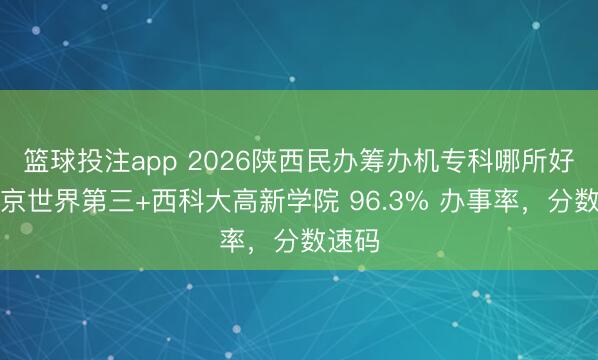 篮球投注app 2026陕西民办筹办机专科哪所好？西京世界第三+西科大高新学院 96.3% 办事率，分数速码