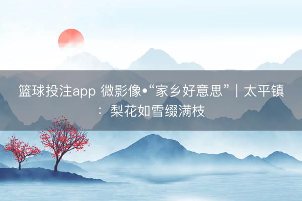 篮球投注app 微影像•“家乡好意思”｜太平镇：梨花如雪缀满枝