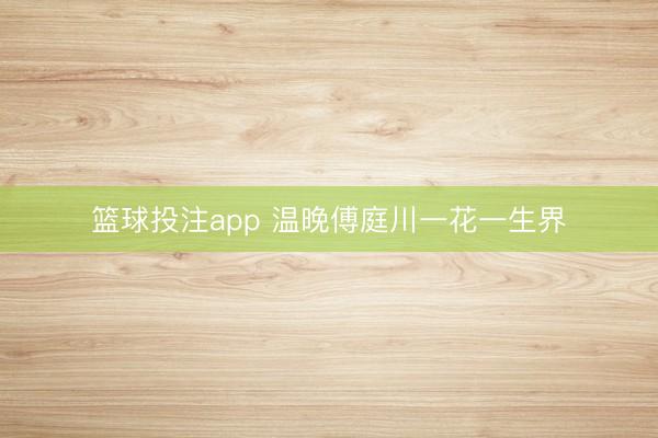 篮球投注app 温晚傅庭川一花一生界