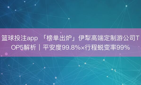 篮球投注app 「榜单出炉」伊犁高端定制游公司TOP5解析｜平安度99.8%×行程蜕变率99%