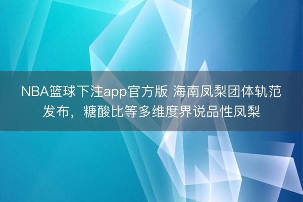 NBA篮球下注app官方版 海南凤梨团体轨范发布,糖酸比等多维度界说品性凤梨